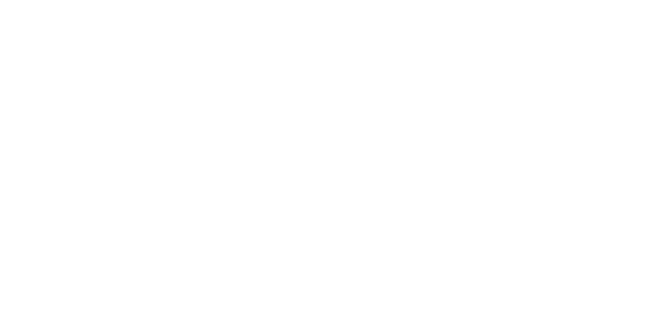 네이버페이 logo