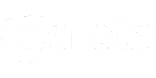 나이스페이 logo