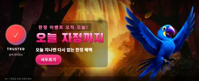 환상적인 잭포트의 기회!